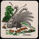 Lyrebird Beer Coaster from New Zealand