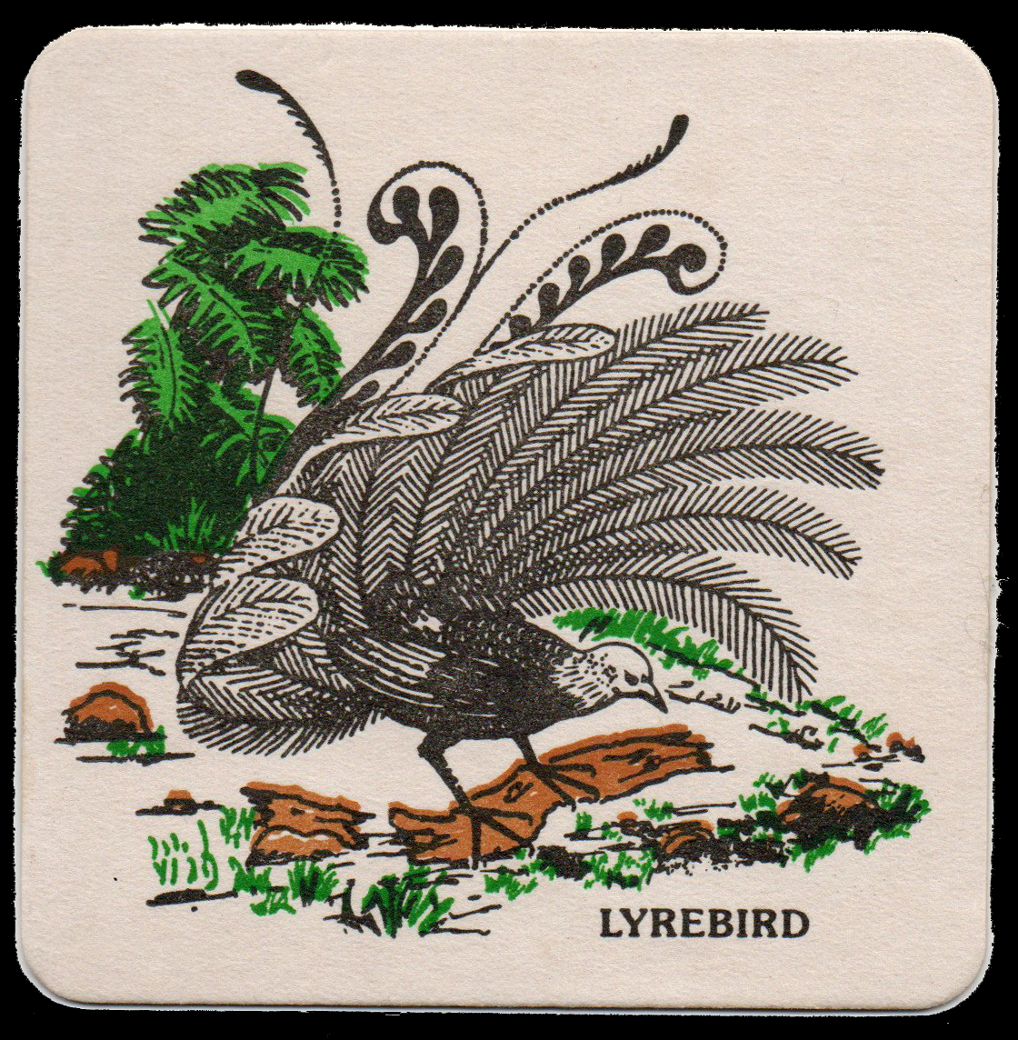Lyrebird Beer Coaster from New Zealand